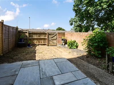 Picture 11